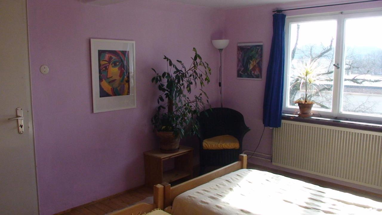 Haus Wunderlich Apartment Sigmaringen Bagian luar foto
