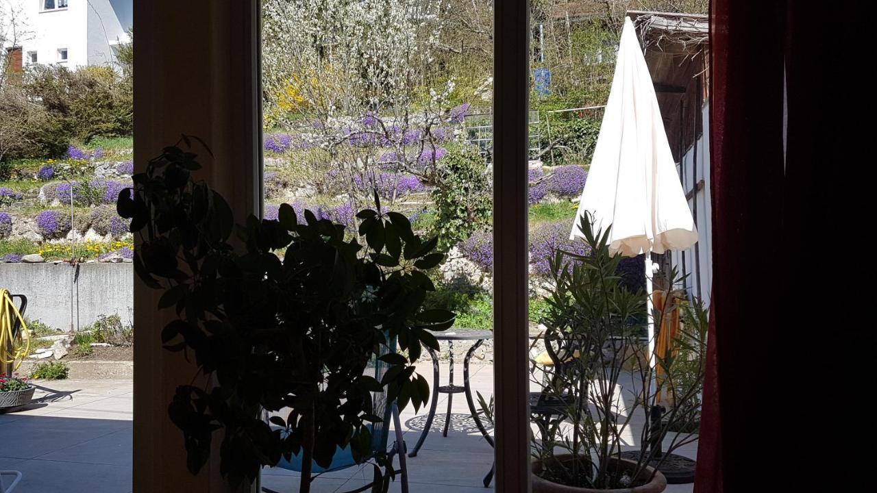 Haus Wunderlich Apartment Sigmaringen Bagian luar foto
